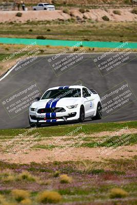 media/Feb-25-2024-Speed Ventures (Sun) [[b9a2a97a4d]]/Mustang Drivers Club/Session 3 (Turn 2)/